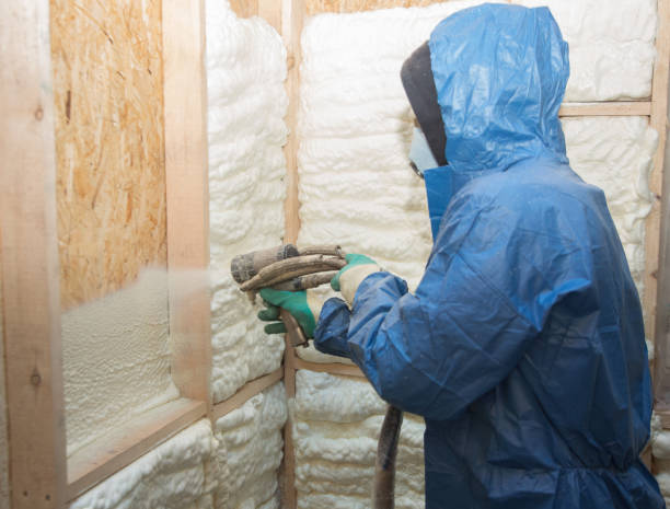 Best Attic Insulation Installation  in USA